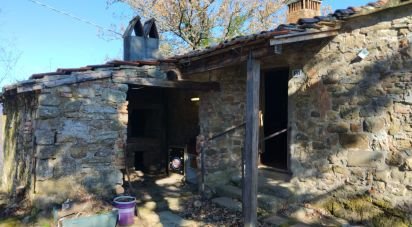 Country home 5 rooms of 125 m² in Borgo San Lorenzo (50032)