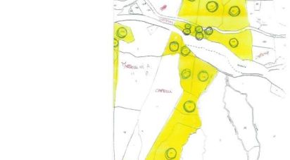 Land of 190,000 m² in Santa Fiora (58037)