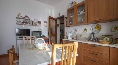 Three-room apartment of 104 m² in Camerano (60021)