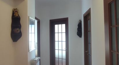 Quadrilocale di 90 m² a Sanremo (18038)