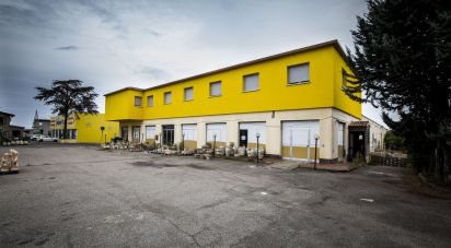 Negozio / locale commerciale di 9.843 m² in Viterbo (01100)