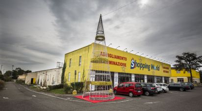 Negozio / locale commerciale di 9.843 m² in Viterbo (01100)