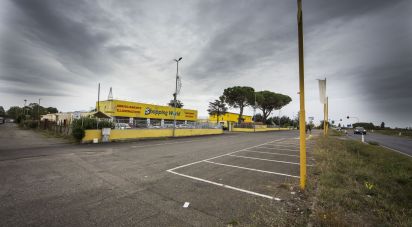 Shop / premises commercial of 9,843 m² in Viterbo (01100)
