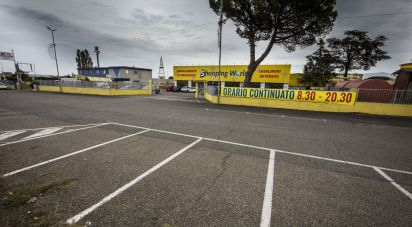 Negozio / locale commerciale di 9.843 m² in Viterbo (01100)