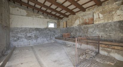 Rustico 2 locali di 90 m² in Montegiorgio (63833)