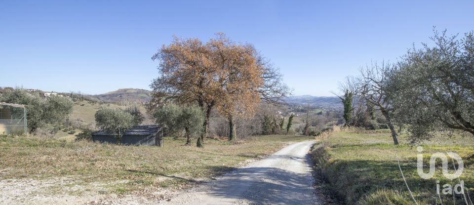 Lodge 7 rooms of 173 m² in Falerone (63837)