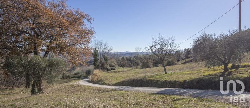 Lodge 7 rooms of 173 m² in Falerone (63837)