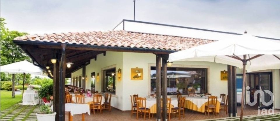 Restaurant of 1,300 m² in Colledara (64042)