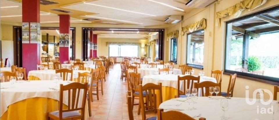 Restaurant of 1,300 m² in Colledara (64042)