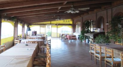 Restaurant of 697 m² in Castell'Arquato (29014)