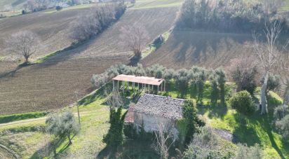 Casa indipendente 5 locali di 230 m² in Morrovalle (62010)