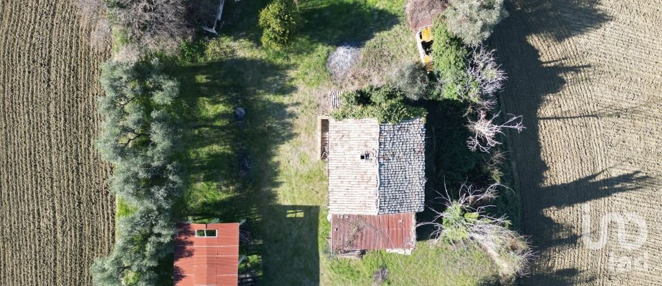 Townhouse 5 rooms of 230 m² in Morrovalle (62010)