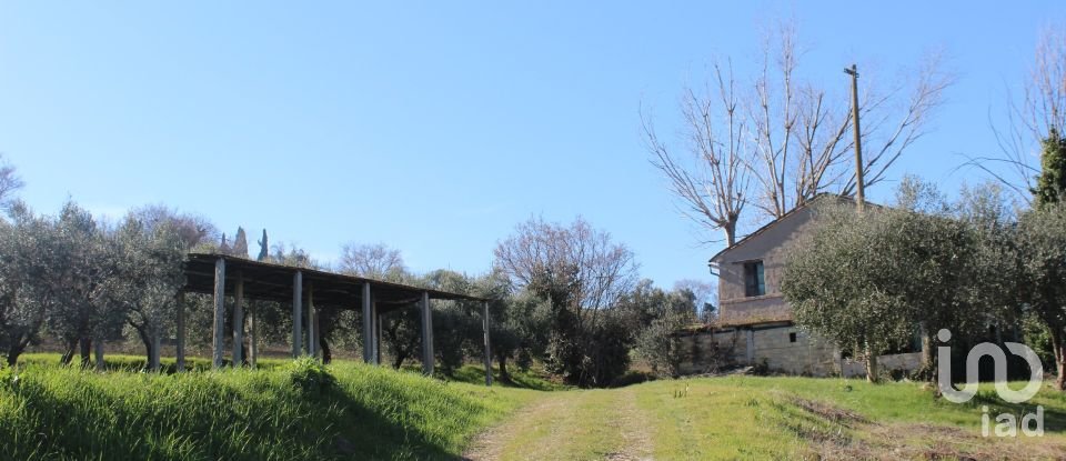 Townhouse 5 rooms of 230 m² in Morrovalle (62010)