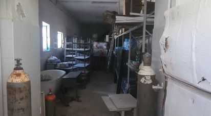 Negozio / locale commerciale di 481 m² in Sant'Elia Fiumerapido (03049)