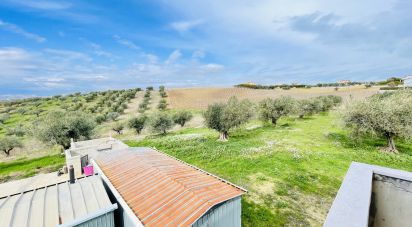 Casale 0 locali di 130 m² in Città Sant'Angelo (65013)