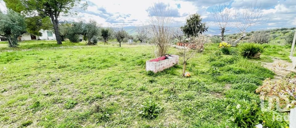 Farm 0 rooms of 130 m² in Città Sant'Angelo (65013)