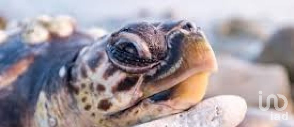 Hotel 2* of 1,000,000 m² in Sirolo (60020)