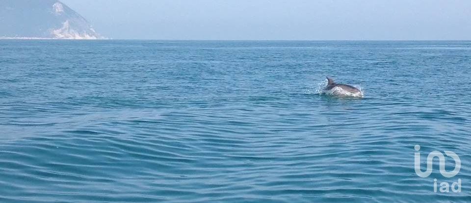 Hotel 2* of 1,000,000 m² in Sirolo (60020)