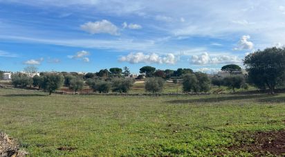 Villa storica 10 locali di 180 m² in Cisternino (72014)