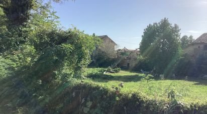 Proprietà terriera 0 locali di 7.800 m² in Casorate Primo (27022)