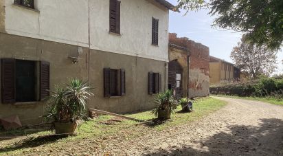 Proprietà terriera 0 locali di 7.800 m² in Casorate Primo (27022)
