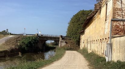 Proprietà terriera 0 locali di 7.800 m² in Casorate Primo (27022)