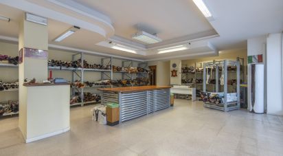 Shop / premises commercial of 135 m² in Montegranaro (63812)