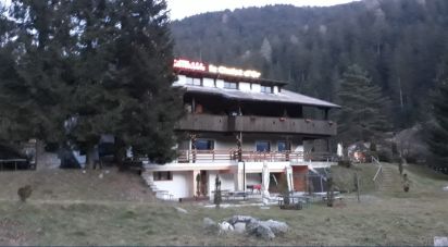 Costruzione di 2.000 m² in Comelico Superiore (32040)