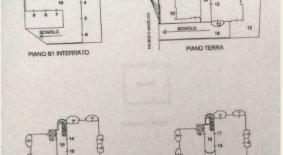 Costruzione 3 locali di 76 m² a Mondolfo (61037)