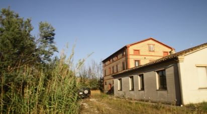 Casa indipendente 7 locali di 288 m² in Treia (62010)