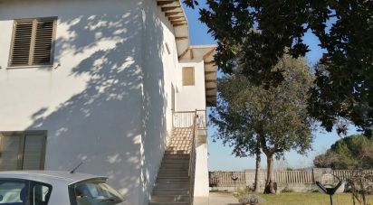 Costruzione 7 locali di 110 m² a Loreto Aprutino (65014)