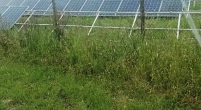 Land of 240,000 m² in Scansano (58054)