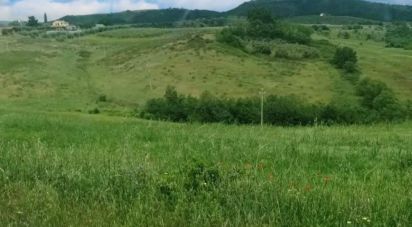 Land of 240,000 m² in Scansano (58054)