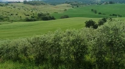 Land of 240,000 m² in Scansano (58054)
