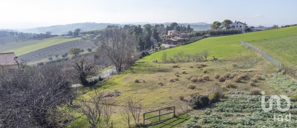 Land of 990 m² in Osimo (60027)