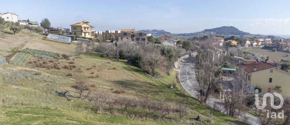 Land of 990 m² in Osimo (60027)