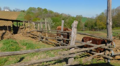 Proprietà terriera 26 locali di 24.000 m² in Alseno (29010)