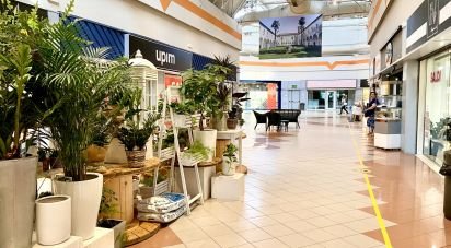 Negozio / locale commerciale di 20 m² in Castiglione delle Stiviere (46043)