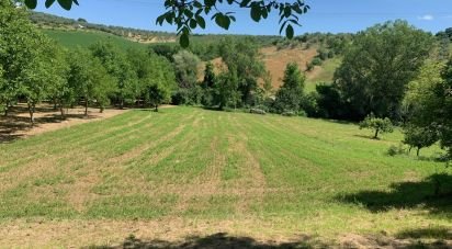 Terreno di 60.000 m² in Loreto Aprutino (65014)