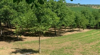 Terreno di 60.000 m² in Loreto Aprutino (65014)