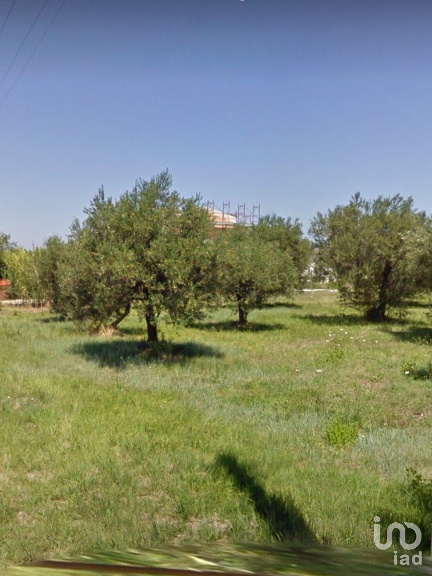 Terreno di 11.000 m² in Ortona (66026)