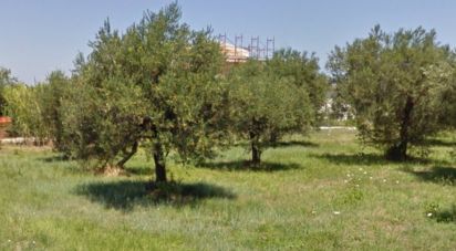 Land of 11,000 m² in Ortona (66026)