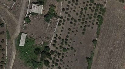 Terreno di 71.034 m² in Andria (76123)