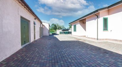 Casa indipendente 14 locali di 565 m² in Argenta (44010)