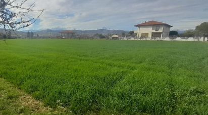 Terreno di 9.150 m² in Notaresco (64024)