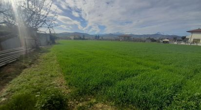 Terreno di 9.150 m² in Notaresco (64024)