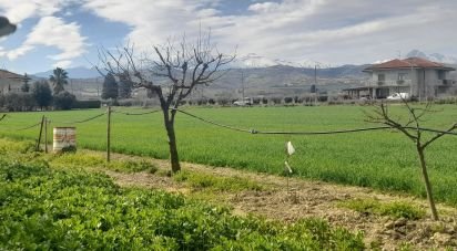 Terreno di 9.150 m² in Notaresco (64024)