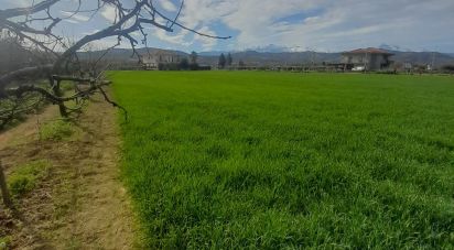 Terreno di 9.150 m² in Notaresco (64024)