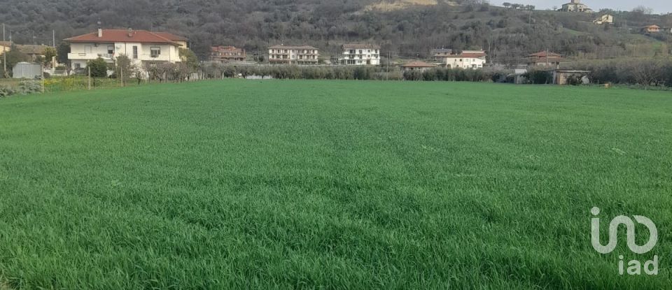 Terreno di 9.150 m² in Notaresco (64024)