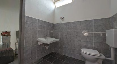 Negozio / locale commerciale di 35 m² in Sala Baganza (43038)